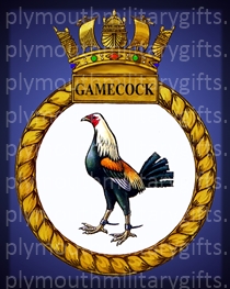 HMS Gamecock Magnet